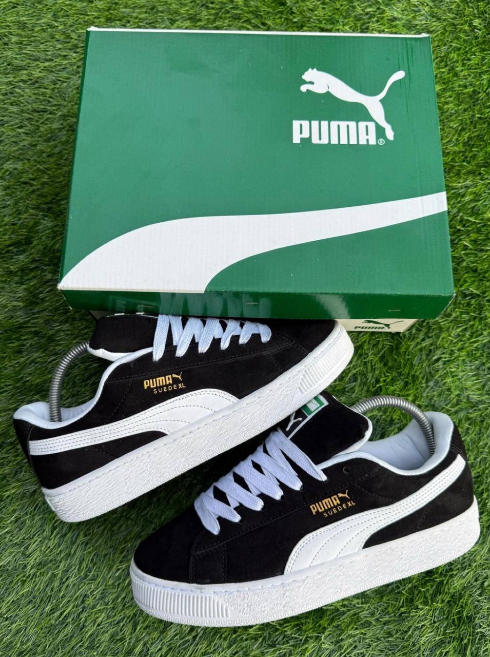 puma